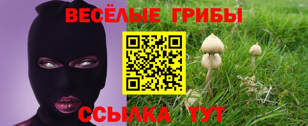 Галлюциногенные грибы мицелий Городец